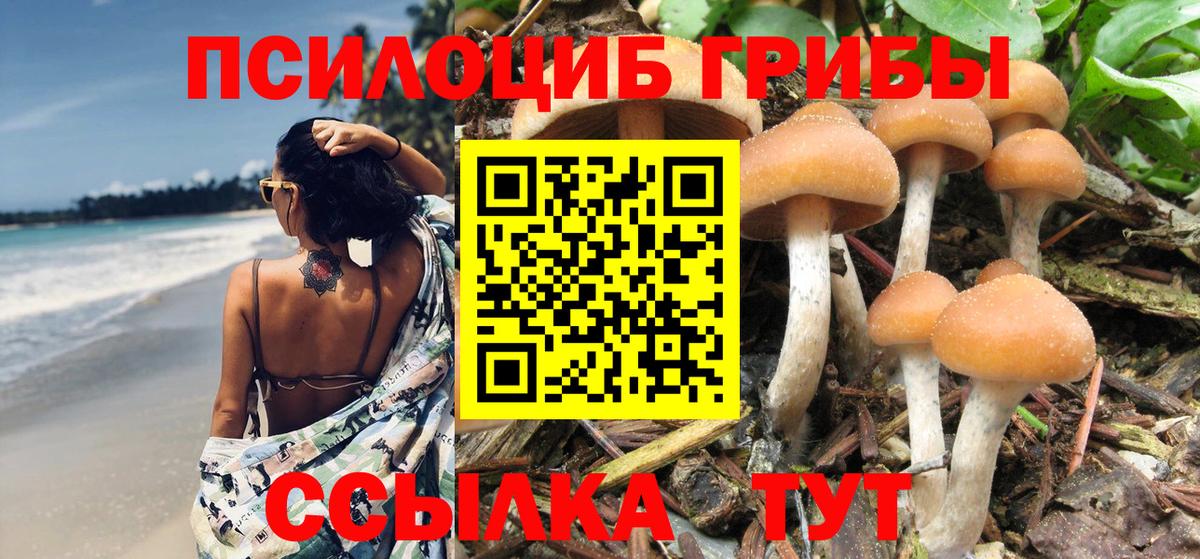 Галлюциногенные грибы Magic Shrooms Солнечногорск