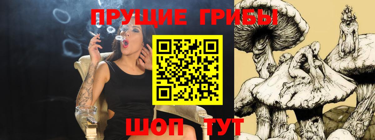 Псилоцибиновые грибы мицелий  закладки  Солнечногорск  Вход с VPN  Псилоцибиновые грибы мухоморы 