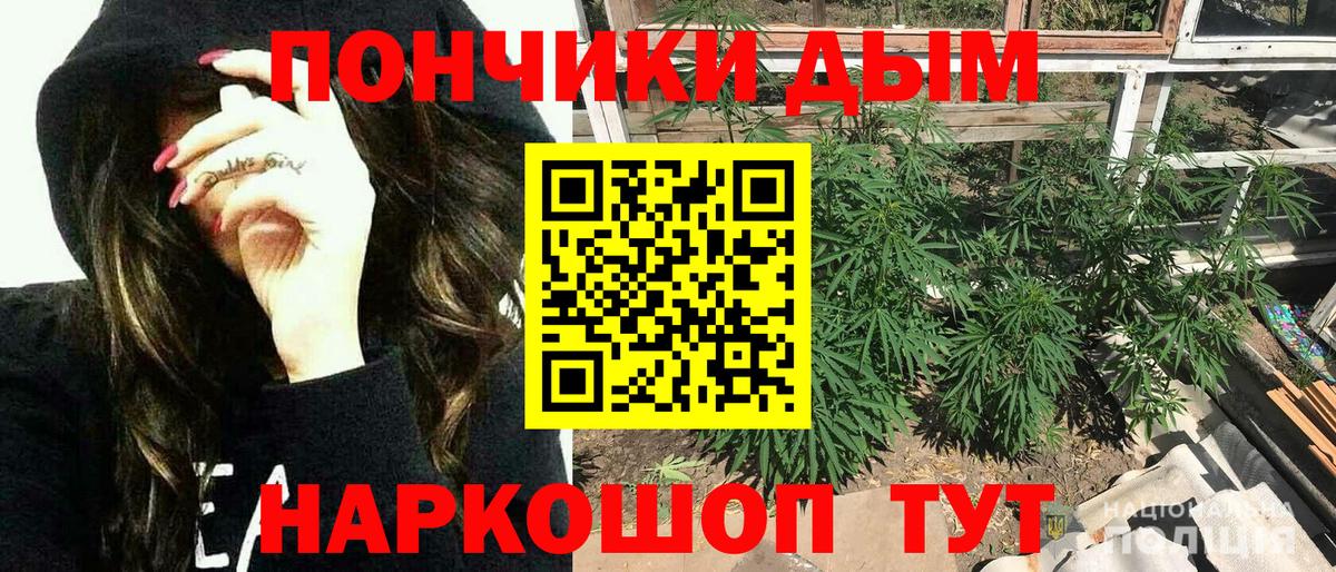 Бошки Шишки сатива  МАРИХУАНА Amnesia  Солнечногорск  Бошки Шишки гибрид  Конопля Ganja  Вход с VPN 